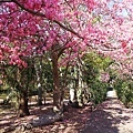 IMG_4545.JPG