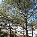 IMG_4600.JPG