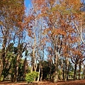 IMG_20211116_003819.jpg