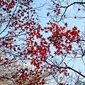 IMG_20211116_003947.jpg
