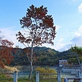 IMG_20211116_004144.jpg