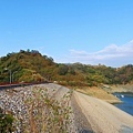 IMG_20211116_004238.jpg