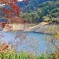 IMG_20211116_004214.jpg