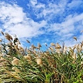 IMG_20211117_124854.jpg