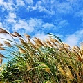 IMG_20211117_124902.jpg