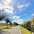 IMG_20211117_124949.jpg
