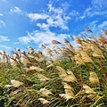 IMG_20211117_124942.jpg