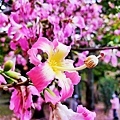 IMG_20211223_234212.jpg