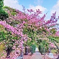 IMG_20211223_234149.jpg
