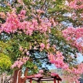 IMG_20211223_234136.jpg