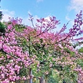 IMG_20211223_234201.jpg