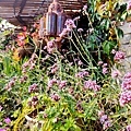 IMG20211209134553.jpg