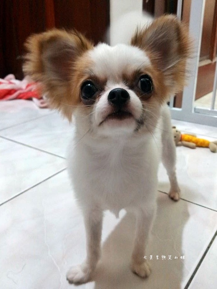 37 Infocus M350.jpg 37 Infocus M350.jpg