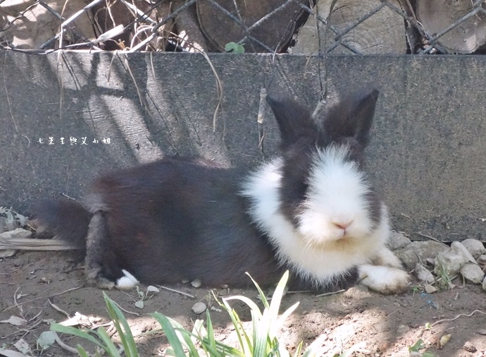 32 新竹竹北畫盒子藝術餐廳.JPG 32 新竹竹北畫盒子藝術餐廳.JPG