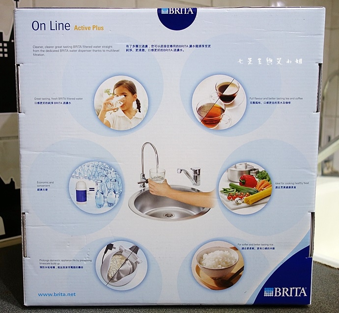 3 德國BRITA On Line Active Plus P1000硬水軟化櫥下型濾水器.JPG