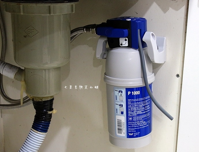 10 德國BRITA On Line Active Plus P1000硬水軟化櫥下型濾水器.JPG