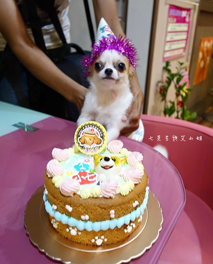 49 Samsung Galaxy J7 大光圈 前閃燈 快啟相機 49 Samsung Galaxy J7 大光圈 前閃燈 快啟相機