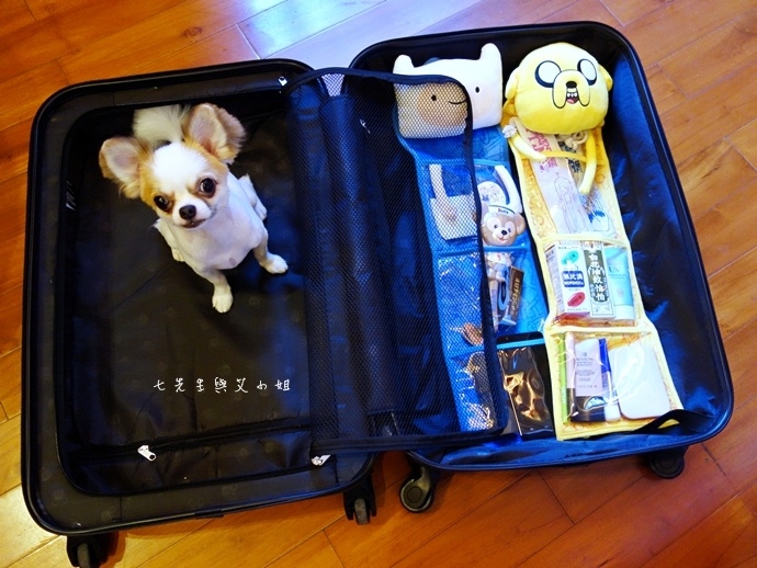 28 萊爾富 探險活寶 集點大蒐秘.JPG 28 萊爾富 探險活寶 集點大蒐秘.JPG