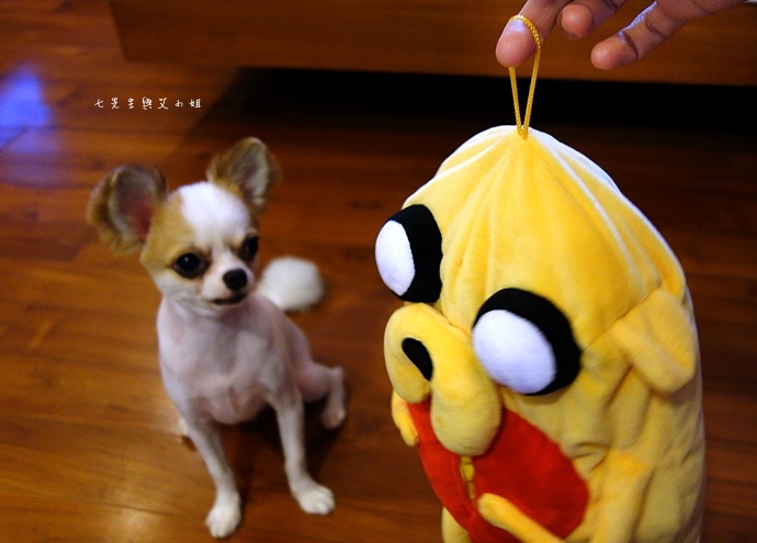 11 萊爾富 探險活寶 集點大蒐秘.JPG 11 萊爾富 探險活寶 集點大蒐秘.JPG