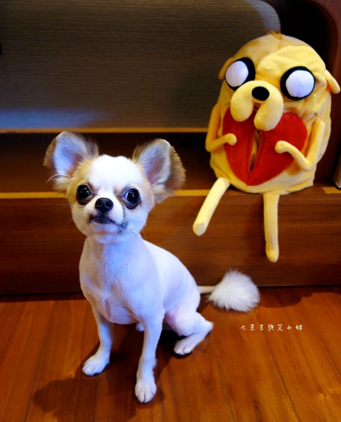 10 萊爾富 探險活寶 集點大蒐秘.JPG 10 萊爾富 探險活寶 集點大蒐秘.JPG