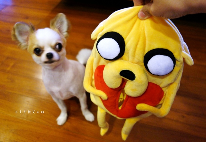 12 萊爾富 探險活寶 集點大蒐秘.JPG 12 萊爾富 探險活寶 集點大蒐秘.JPG