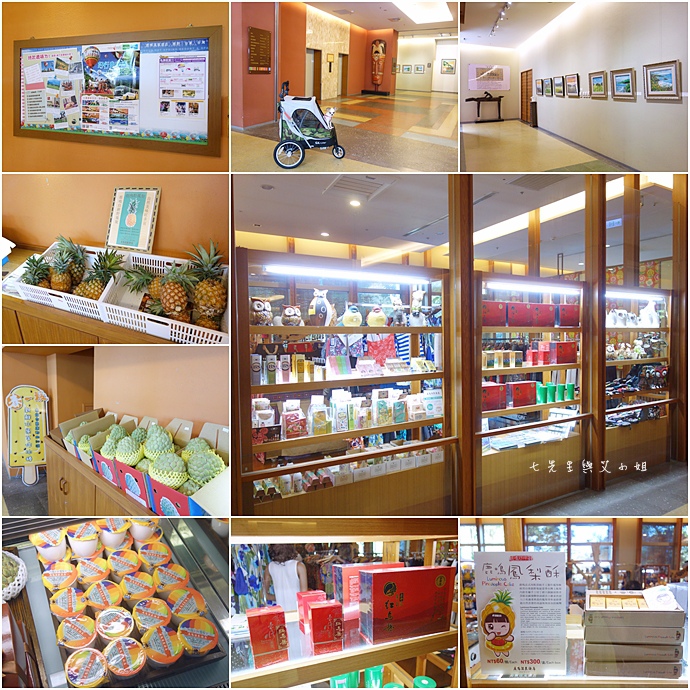 5 台東鹿鳴溫泉酒店熱氣球享鹿飛飛 5 台東鹿鳴溫泉酒店熱氣球享鹿飛飛