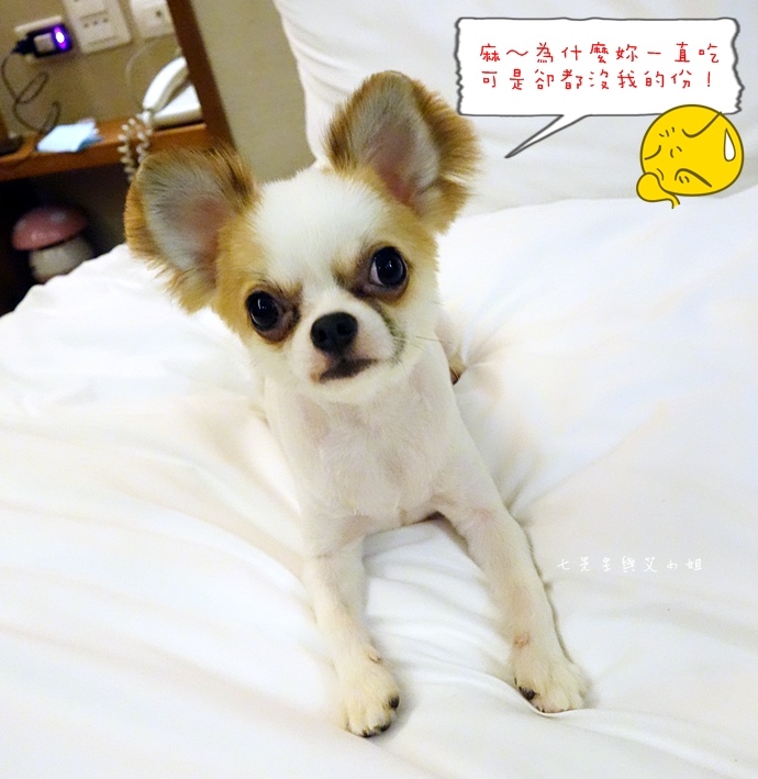 39 台東鹿鳴溫泉酒店熱氣球享鹿飛飛 39 台東鹿鳴溫泉酒店熱氣球享鹿飛飛