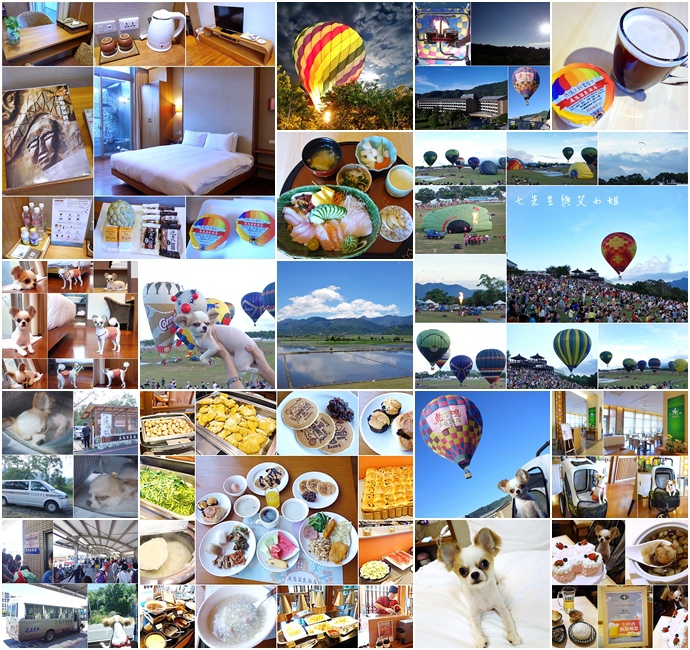 0 台東鹿鳴溫泉酒店熱氣球享鹿飛飛 0 台東鹿鳴溫泉酒店熱氣球享鹿飛飛