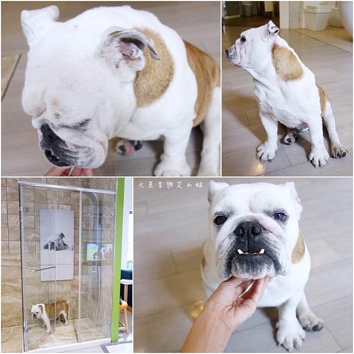 33 OVO 京典衛浴.JPG 33 OVO 京典衛浴.JPG