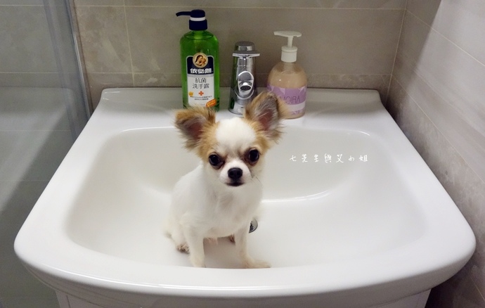 6 京典衛浴 6 京典衛浴