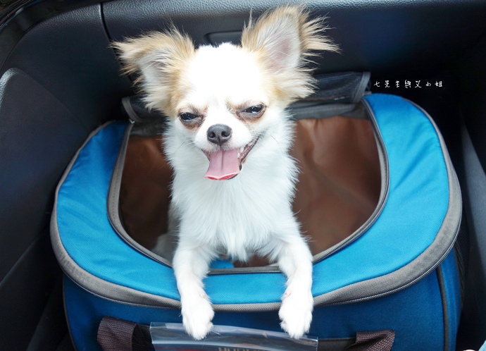 52 Ford Kuga 2.0 時尚經典 52 Ford Kuga 2.0 時尚經典