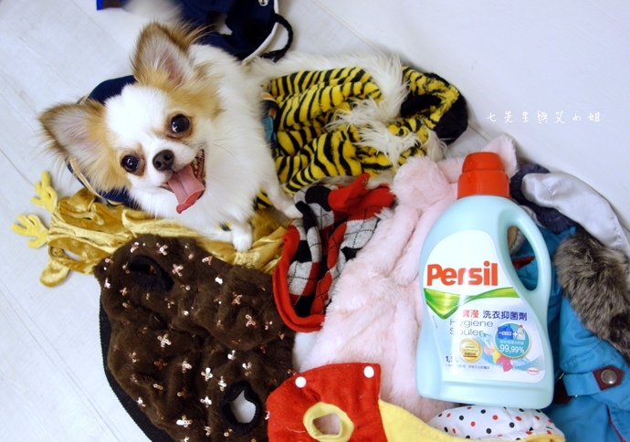 6 寶瀅 Persil 洗衣抑菌劑.JPG