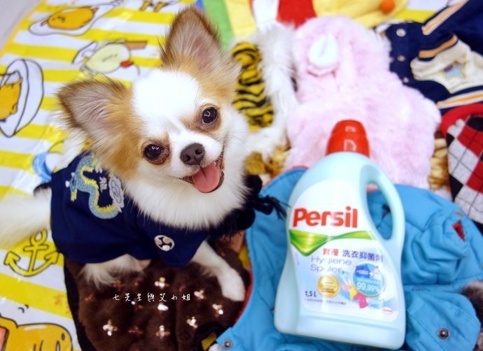 20 寶瀅 Persil 洗衣抑菌劑.JPG