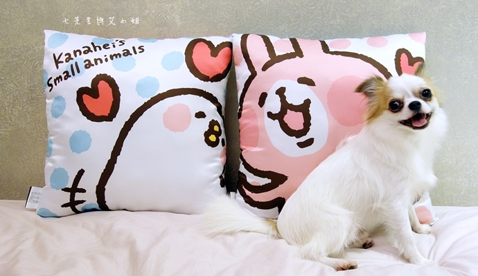 11 全家卡娜赫拉 P助與兔兔.JPG 11 全家卡娜赫拉 P助與兔兔.JPG