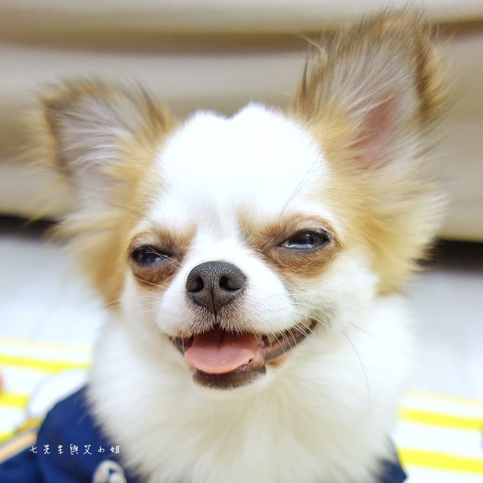 七先生與艾小姐IG 七先生與艾小姐IG