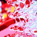 IMG_5880.JPG