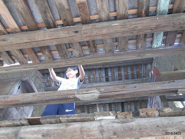 IMG_1687.JPG IMG_1687.JPG