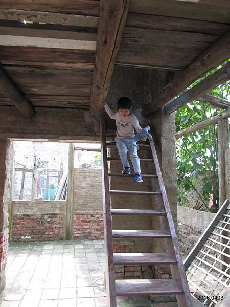 IMG_1689.JPG IMG_1689.JPG