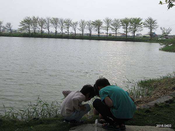 IMG_1704.JPG IMG_1704.JPG