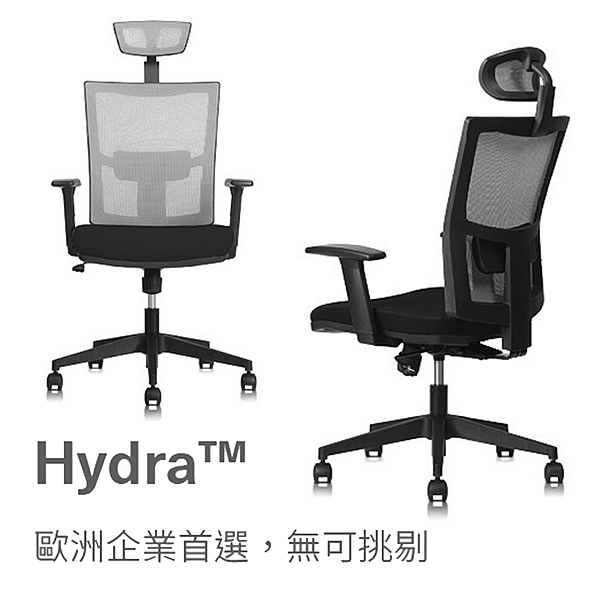 BackBone Hydra 人體工學椅.png