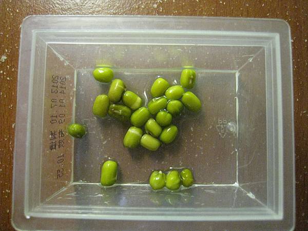 浸泡12小時