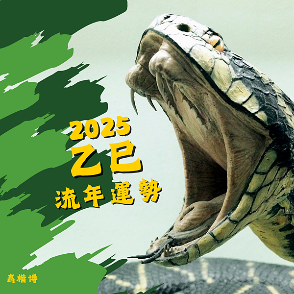 2025 乙巳 流年運勢(一)