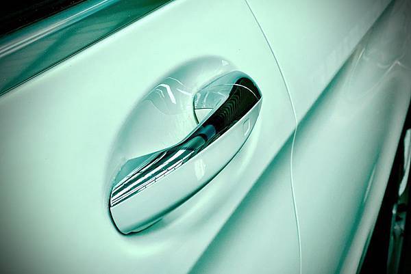 IMG_8350.jpeg IMG_8350.jpeg