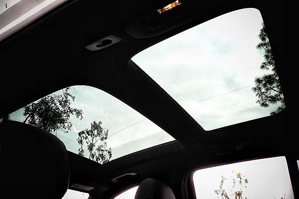 DSCN6695.jpg DSCN6695.jpg