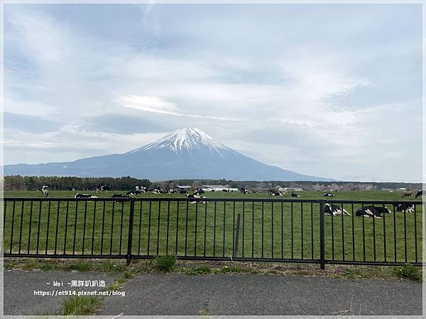 【日本｜靜岡】富士山我來了！自駕好選擇，感謝幸運之神眷顧！