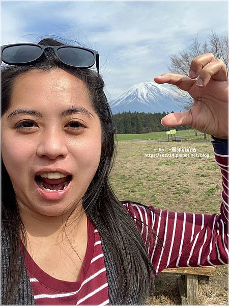 【日本｜靜岡】富士山我來了！自駕好選擇，感謝幸運之神眷顧！