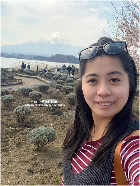 【日本｜靜岡】富士山我來了！自駕好選擇，感謝幸運之神眷顧！