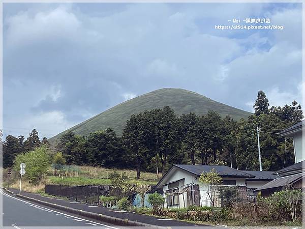 【日本｜伊豆半島】伊豆半島環島，犬走島、河津櫻、大室山、修善