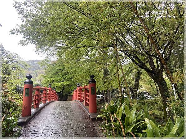 【日本｜伊豆半島】伊豆半島環島，犬走島、河津櫻、大室山、修善