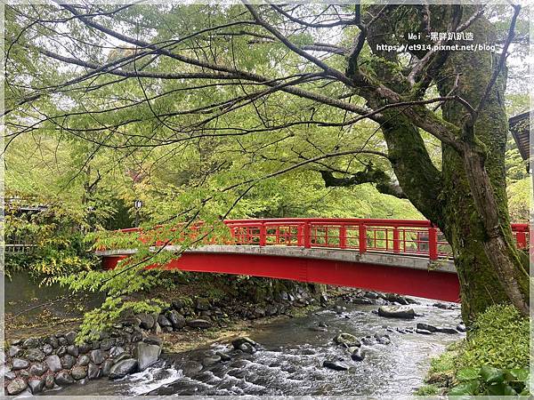 【日本｜伊豆半島】伊豆半島環島，犬走島、河津櫻、大室山、修善